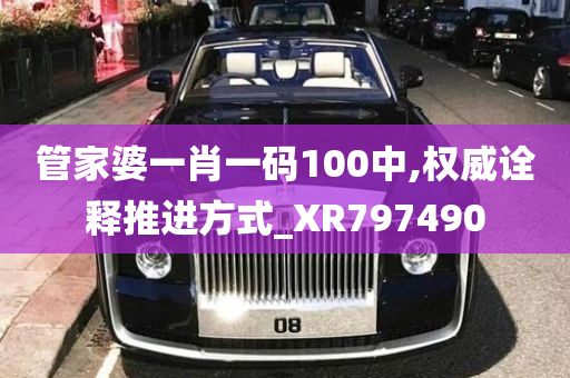 管家婆一肖一码100中,权威诠释推进方式_XR797490