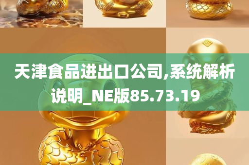 天津食品进出口公司,系统解析说明_NE版85.73.19