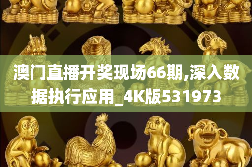 澳门直播开奖现场66期,深入数据执行应用_4K版531973