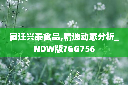 宿迁兴泰食品,精选动态分析_NDW版?GG756