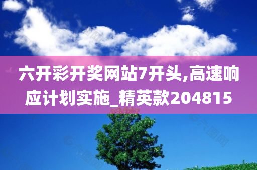 六开彩开奖网站7开头,高速响应计划实施_精英款204815