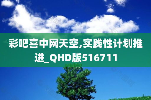 彩吧喜中网天空,实践性计划推进_QHD版516711