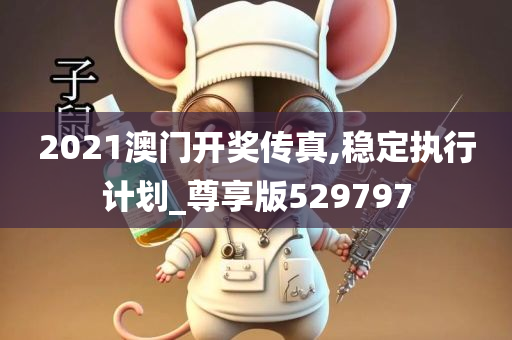 2021澳门开奖传真,稳定执行计划_尊享版529797