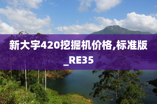 RE35 第2页