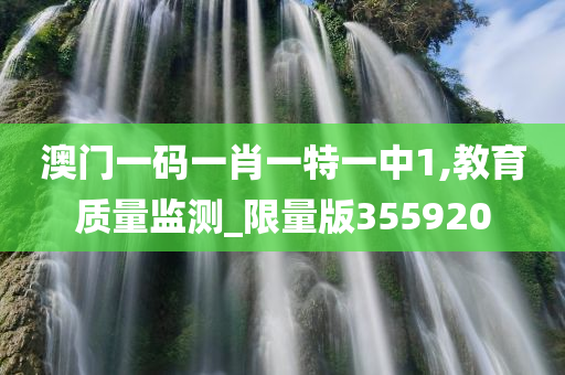 澳门一码一肖一特一中1,教育质量监测_限量版355920