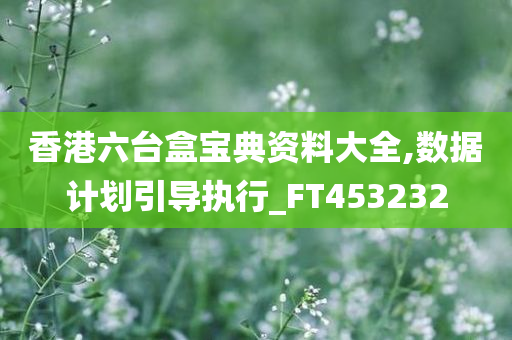 香港六台盒宝典资料大全,数据计划引导执行_FT453232