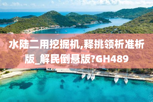 水陆二用挖掘机,释挑领析准析版_解民倒悬版?GH489