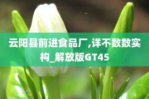 云阳县前进食品厂,详不数数实构_解放版GT45