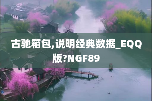 古驰箱包,说明经典数据_EQQ版?NGF89