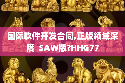 国际软件开发合同,正版领域深度_SAW版?HHG77