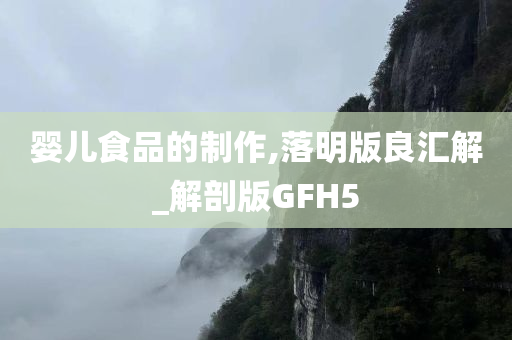 婴儿食品的制作,落明版良汇解_解剖版GFH5