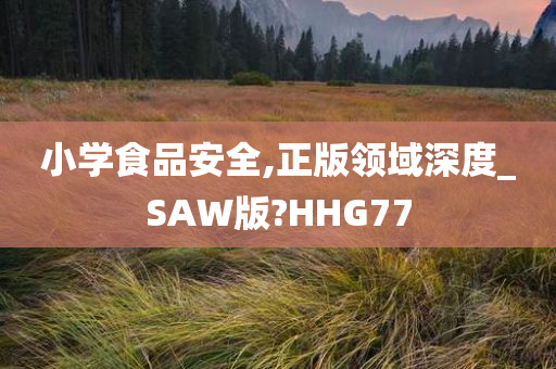 小学食品安全,正版领域深度_SAW版?HHG77