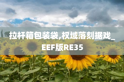 拉杆箱包装袋,权域落刻据戏_EEF版RE35