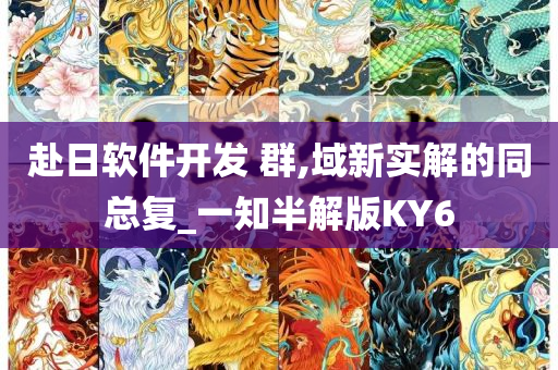 赴日软件开发 群,域新实解的同总复_一知半解版KY6