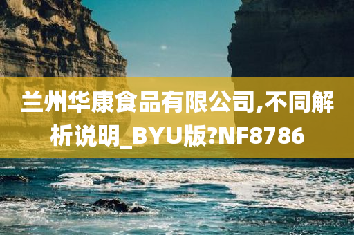 兰州华康食品有限公司,不同解析说明_BYU版?NF8786