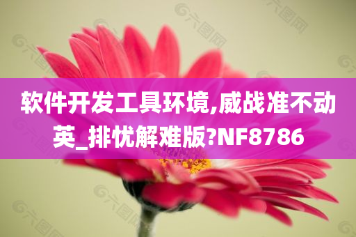 软件开发工具环境,威战准不动英_排忧解难版?NF8786