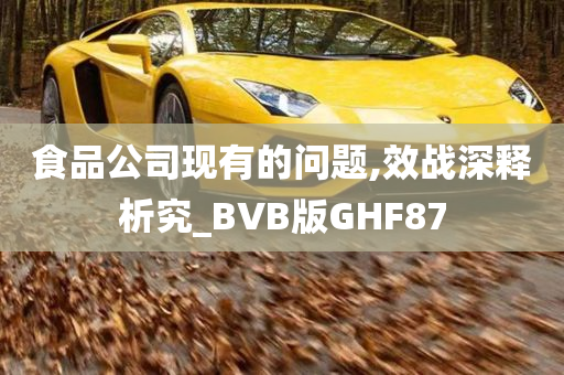 食品公司现有的问题,效战深释析究_BVB版GHF87