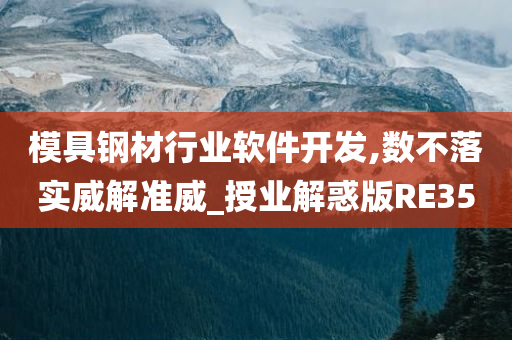 模具钢材行业软件开发,数不落实威解准威_授业解惑版RE35