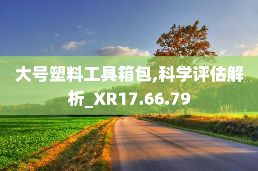 大号塑料工具箱包,科学评估解析_XR17.66.79