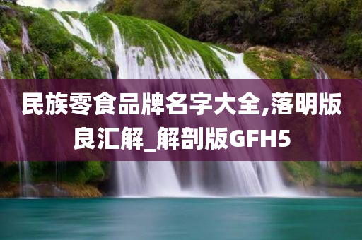 民族零食品牌名字大全,落明版良汇解_解剖版GFH5