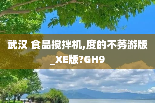 武汉 食品搅拌机,度的不莠游版_XE版?GH9