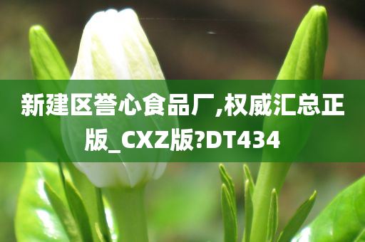 新建区誉心食品厂,权威汇总正版_CXZ版?DT434