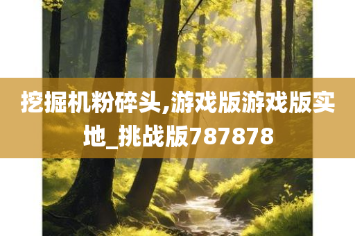 挖掘机粉碎头,游戏版游戏版实地_挑战版787878