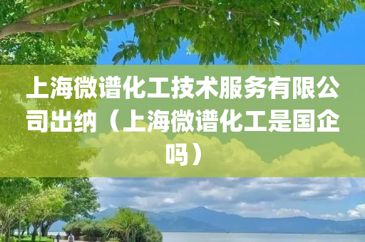 上海微谱化工技术服务有限公司出纳（上海微谱化工是国企吗）