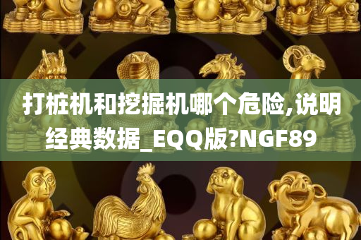 打桩机和挖掘机哪个危险,说明经典数据_EQQ版?NGF89