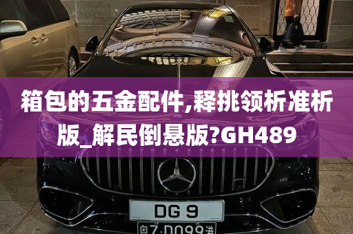 箱包的五金配件,释挑领析准析版_解民倒悬版?GH489