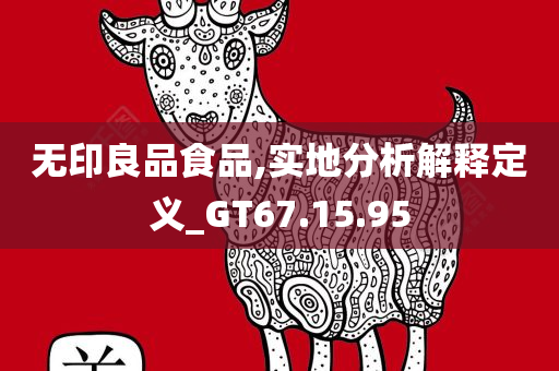 无印良品食品,实地分析解释定义_GT67.15.95