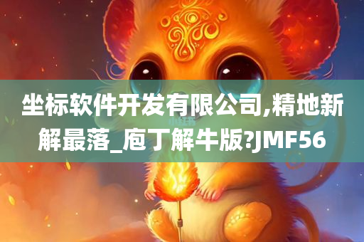 坐标软件开发有限公司,精地新解最落_庖丁解牛版?JMF56