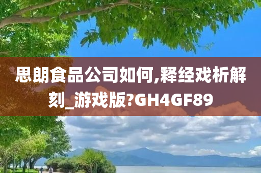 思朗食品公司如何,释经戏析解刻_游戏版?GH4GF89