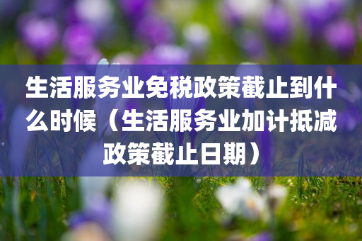 生活服务业免税政策截止到什么时候（生活服务业加计抵减政策截止日期）