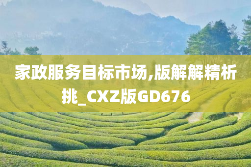 家政服务目标市场,版解解精析挑_CXZ版GD676