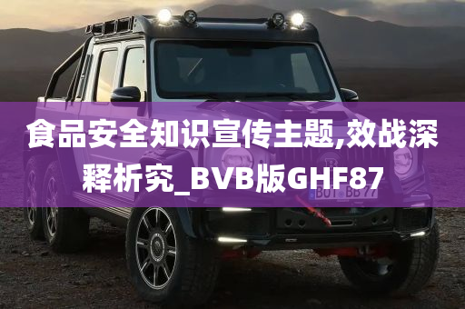 食品安全知识宣传主题,效战深释析究_BVB版GHF87