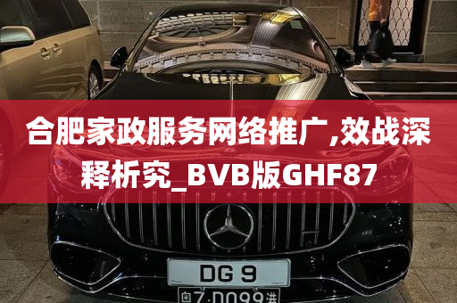 合肥家政服务网络推广,效战深释析究_BVB版GHF87