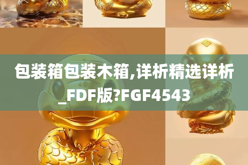 包装箱包装木箱,详析精选详析_FDF版?FGF4543