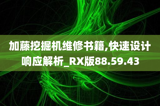 加藤挖掘机维修书籍,快速设计响应解析_RX版88.59.43