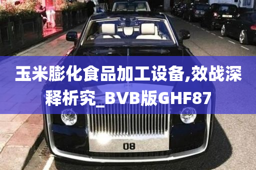 玉米膨化食品加工设备,效战深释析究_BVB版GHF87