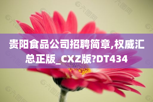 贵阳食品公司招聘简章,权威汇总正版_CXZ版?DT434