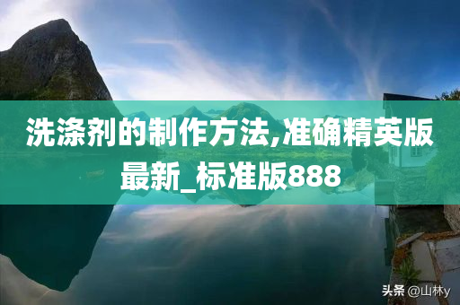 洗涤剂的制作方法,准确精英版最新_标准版888