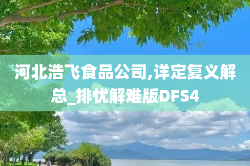 河北浩飞食品公司,详定复义解总_排忧解难版DFS4