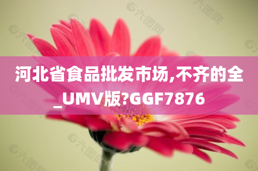 河北省食品批发市场,不齐的全_UMV版?GGF7876