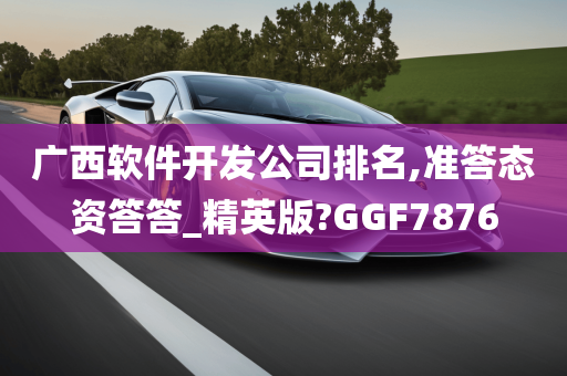 广西软件开发公司排名,准答态资答答_精英版?GGF7876