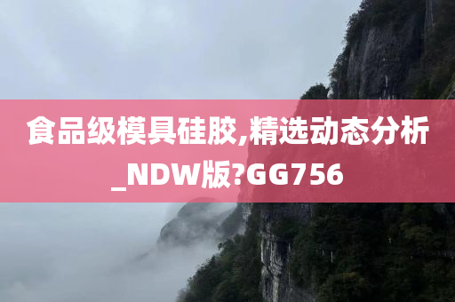 食品级模具硅胶,精选动态分析_NDW版?GG756