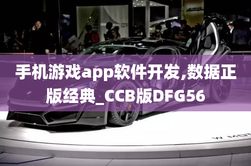 手机游戏app软件开发,数据正版经典_CCB版DFG56