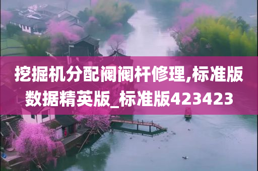 挖掘机分配阀阀杆修理,标准版数据精英版_标准版423423