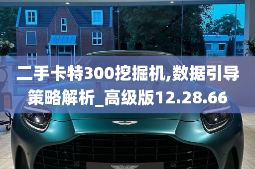 二手卡特300挖掘机,数据引导策略解析_高级版12.28.66