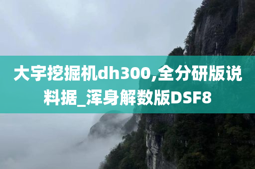 大宇挖掘机dh300,全分研版说料据_浑身解数版DSF8